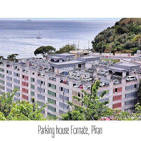 Green Oasis Family Apartments Piran Exterior photo