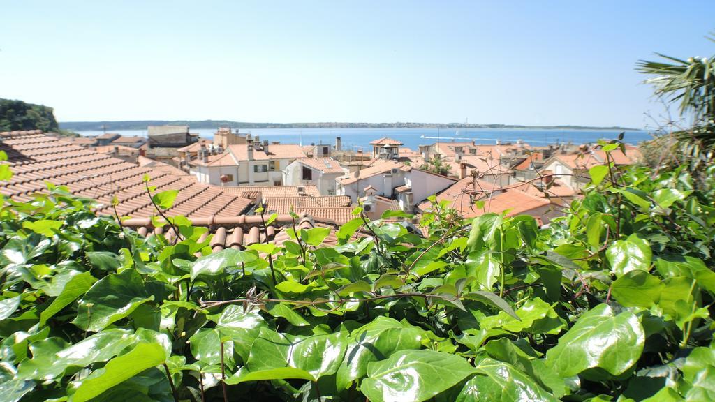 Green Oasis Family Apartments Piran Room photo